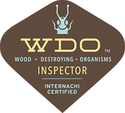 Certified Wood Destroying Organisms