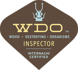 wood destroying